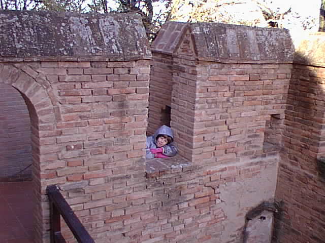 PhotoPC sabato 30 dicembre 2000 18.21 4.jpg, 46130 bytes, 30/12/00